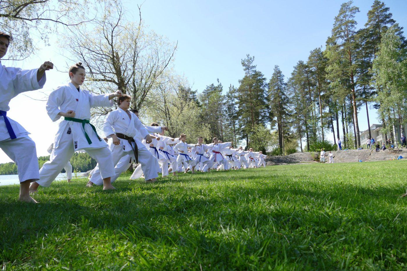 Suomalaisen karaten, taidon ja ju-jutsun yhdistävä voima